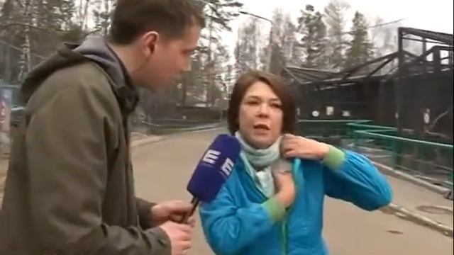 Прямое включение. В парке "Роев ручей" стартует летний сезон смотреть онлайн