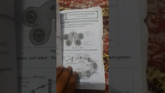 Most important diagrams in biology in 2022 board exam#biology #biophysics #biotechnology смотреть онлайн