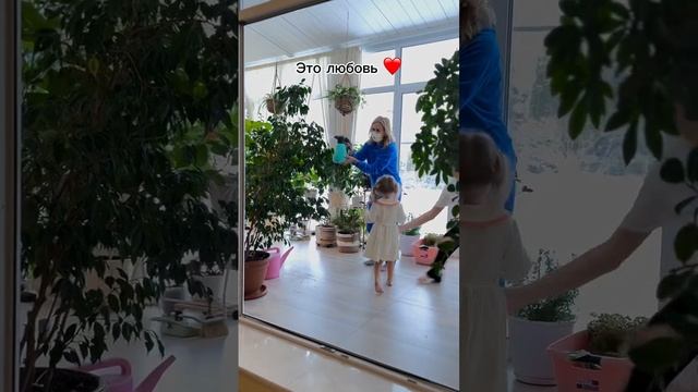 Самое милое домашнее видео 🎄 смотреть онлайн