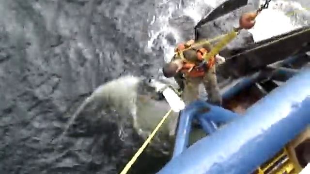 Manta Ray 2.mpg смотреть онлайн