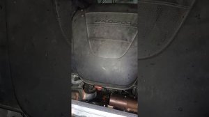 ssang young new actyon неровная работа на холостых