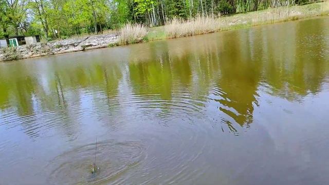 РИБАЛКА НА ПЕРЕПАД ПОГОДИ. ШО МАЄМО ТО МАЄМО. смотреть онлайн