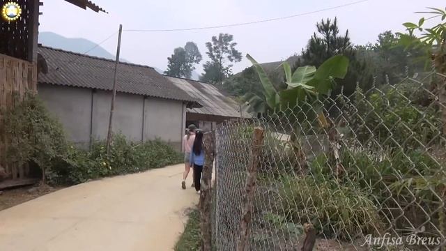 freelancelifestyle ru Vietnam 496 8 Sapa Private Trekking смотреть онлайн