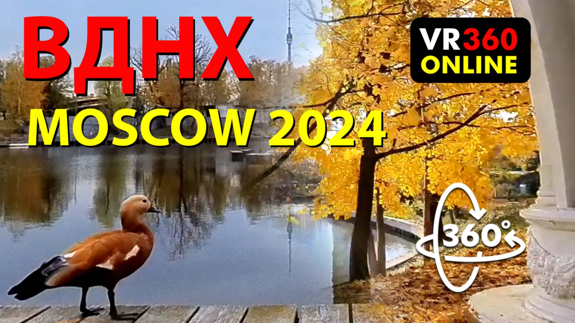 VR 360 Video 4K 360 3D Москва 2024 ВДНХ ЗОЛОТАЯ ОСЕНЬ VR 4K видео для Vr очков 360 3D Video