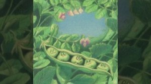 Пятеро из одного стручка. Ганс Христиан Андерсен