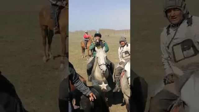 укам тилло полвон смотреть онлайн