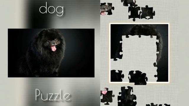 Puzzle with a dog. Putting the puzzle together. Picture with dog #14 смотреть онлайн