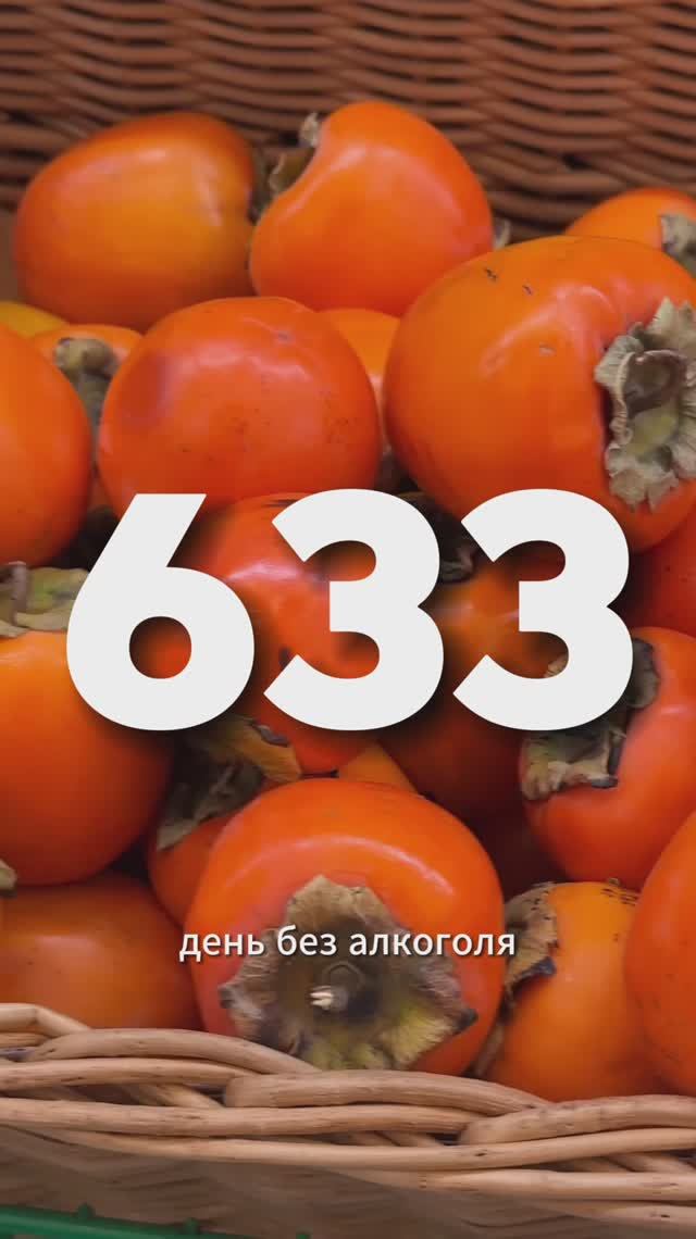 633 ДЕНЬ БЕЗ АЛКОГОЛЯ смотреть онлайн