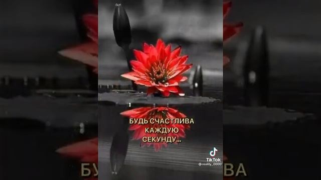 Счастья Вам!!!🙂🙏🌹 смотреть онлайн