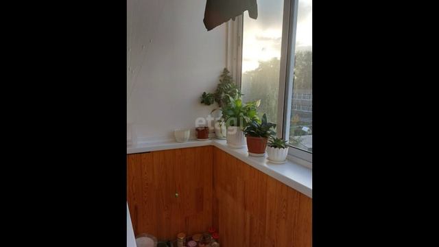 9828491 смотреть онлайн