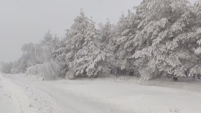 Зимняя сказка. смотреть онлайн