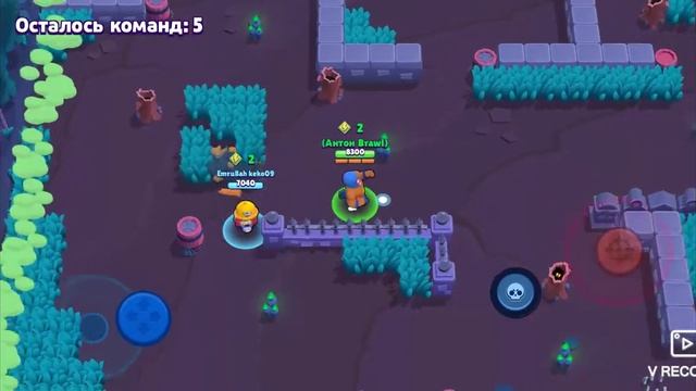 АПАЮ РИКАРДО МИЛОСА (ЭЛЬ ПРИМО) И ВОРОНА ДО 20 РАНГА BRAWL STARS! смотреть онлайн