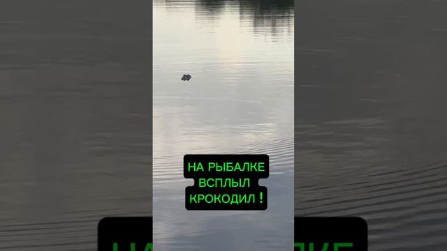 КРОКОДИЛ НА РЫБАЛКЕ смотреть онлайн