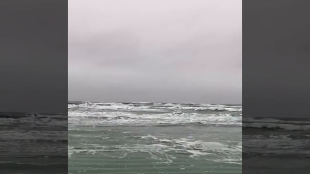 Twin Tribes - Catharsis (Teaser) смотреть онлайн