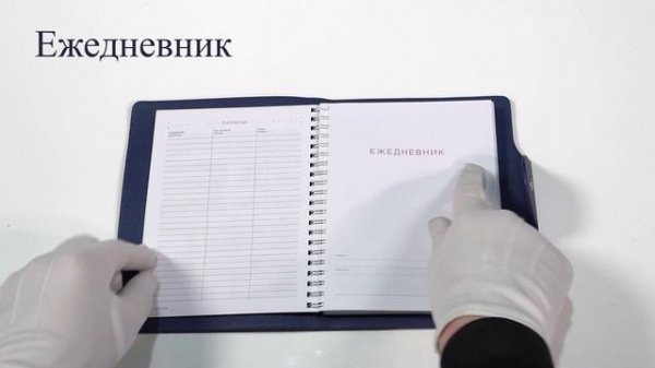 Ежедневник Bruno Visconti TORINO 3-685