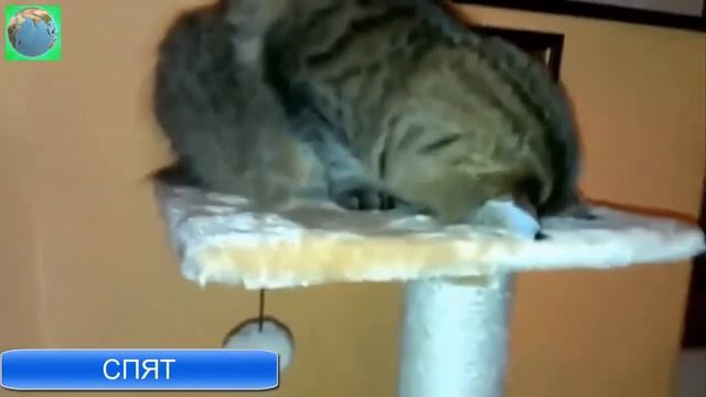 Колыбельная Оксана Орлова смотреть онлайн