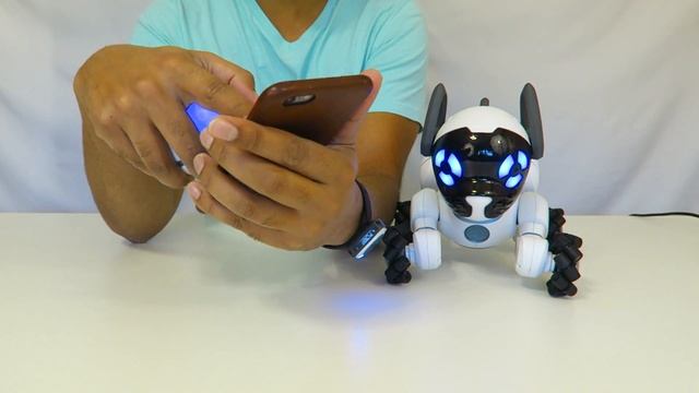 Day 2 - LET'S PLAY! CHiP Robot Dog Toy from WowWee (FULL REVIEW) смотреть онлайн