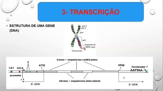 Código Genético смотреть онлайн