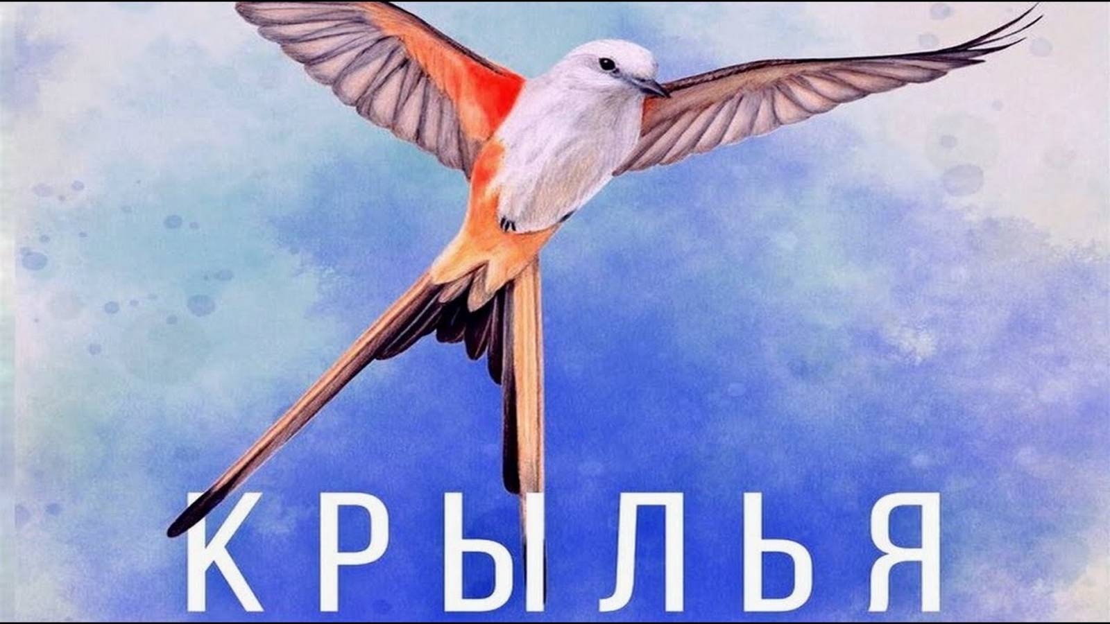 Настольная игра "Крылья". Правила + Let's Play. смотреть онлайн