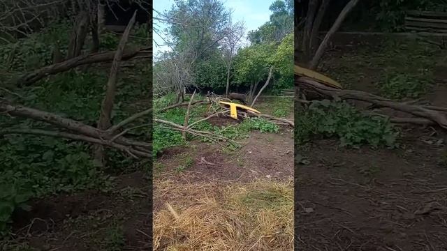 ЗСЛ Чингиз 10мес второе знакомство с кабаном смотреть онлайн