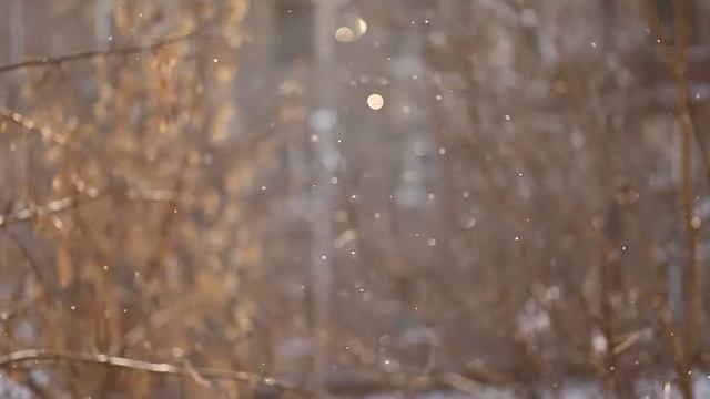 Золотая пыльца! смотреть онлайн