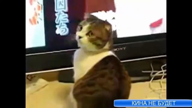 СМОТРИМ Самое классное кино смотреть онлайн