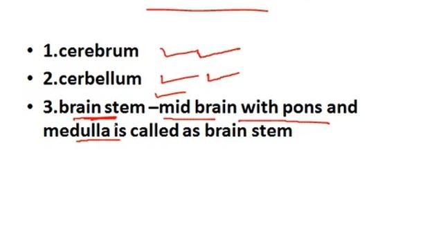 Nervous system lecture in hindi part 1 copyright by nursing online classes смотреть онлайн