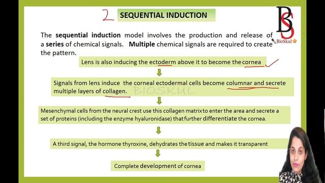Induction and Competence/Developmental Biology/CSIR-UGC NET/By Dr Gayatri Acharya смотреть онлайн