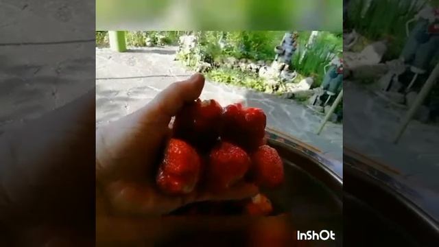 Я его слепила - а был кабачок, лук, морковь, томат и индейка... смотреть онлайн