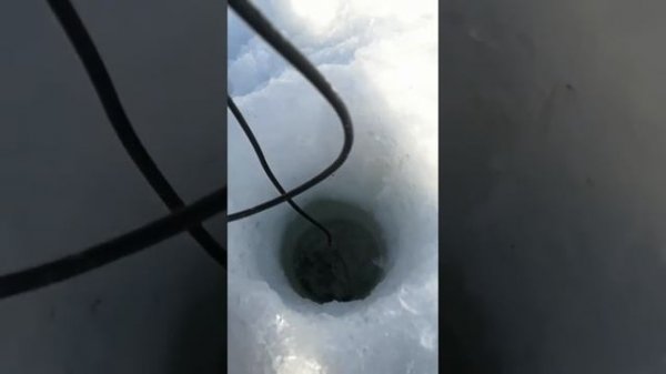 Проверяем кислород в пруду.