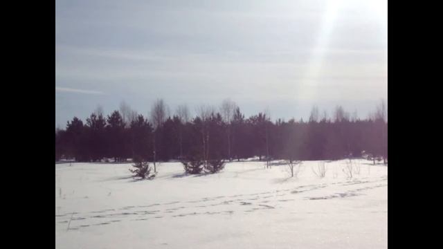 О проверке земельного участка в отношении физического лица в Карагайском районе Пермского края смотреть онлайн