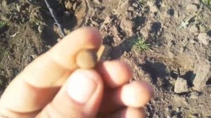 ОГО ,НАШЕЛ МОНЕТУ ГЛАЗАМИ!!!