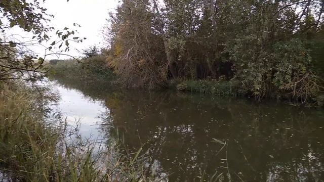 красивое место сегодня нашли:) смотреть онлайн