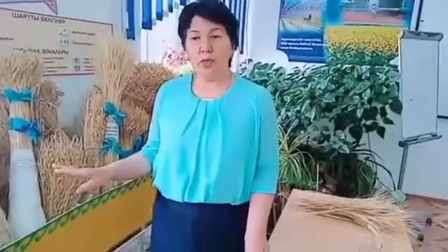 Дәнді дақылдар смотреть онлайн