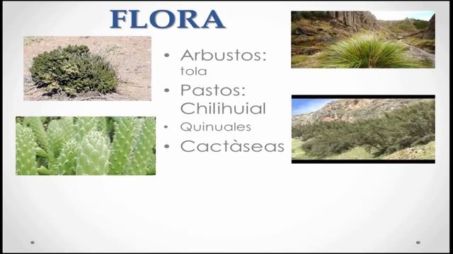 Flora y fauna de la sierra - 3 смотреть онлайн