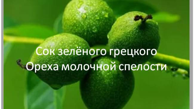 Сок зелёного грецкого ореха. 3 мин смотреть онлайн