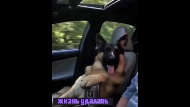 Жизнь удалась смотреть онлайн