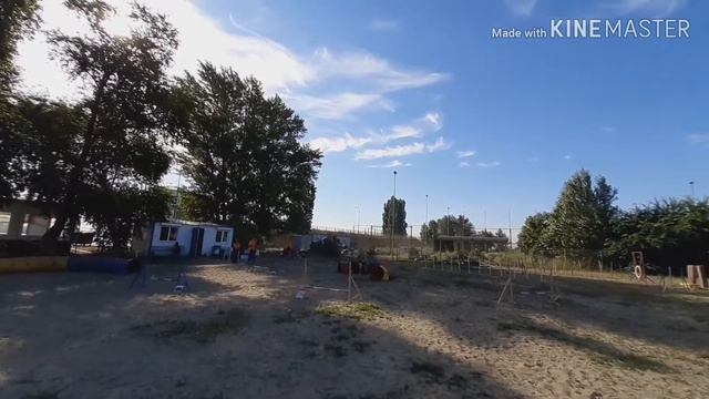 Кубок города Аджилити Ростов-на-дону 2 июля 2019 смотреть онлайн