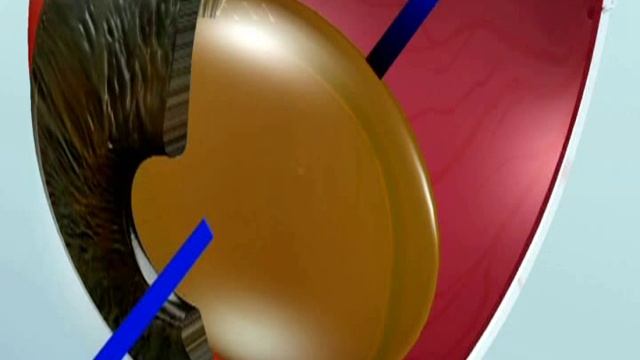 The Lens In Our Eyes Does WHAT?