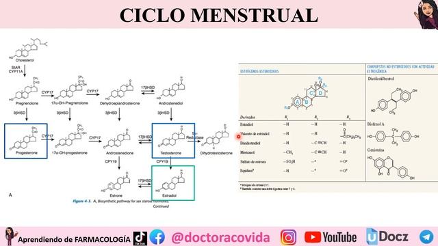 ✅FARMACOLOGÍA 💥METODOS ANTICONCEPTIVOS 💛DOCTORA COVIDA смотреть онлайн