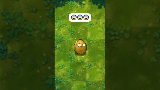 миниатюра №2 - растения против зомби #пвз #pvz #shorts смотреть онлайн