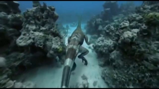Палеонтологи в Китае Откопали Морского Дракона... смотреть онлайн