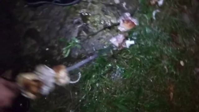 Не поваляешь не поешь!!! Подбираем мЯсище с земли! Акт 3 смотреть онлайн