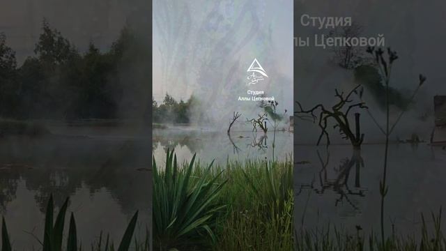 купальник для художественной гимнастики смотреть онлайн
