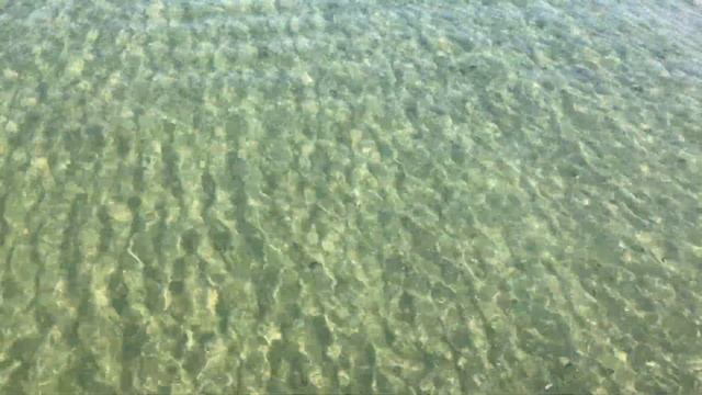 Одесса, утреннее море, 05.07.24. смотреть онлайн