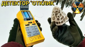 Детектор ОТКЛИК из Сталкер - Доработал Макета Подписчика
