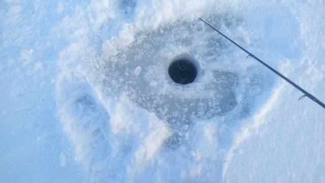 За судаком. Исетский пруд смотреть онлайн