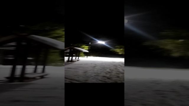 Новогодняя ёлочка смотреть онлайн