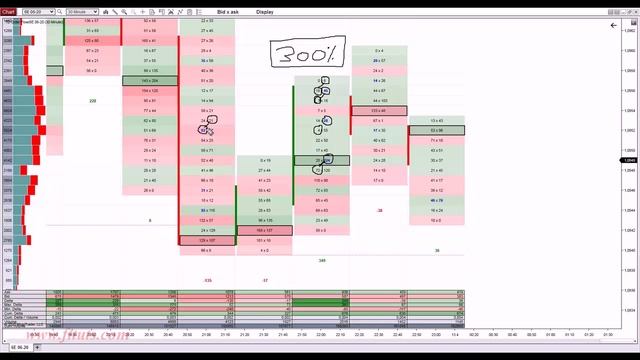 1.Order Flow Chart and Software Description смотреть онлайн