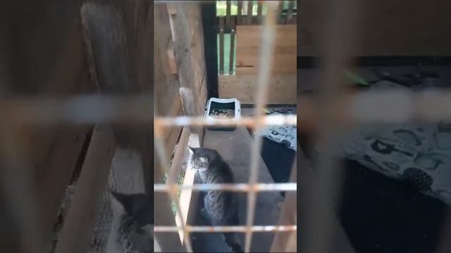 WhatsApp Video 2023 08 06 At 18 20 25